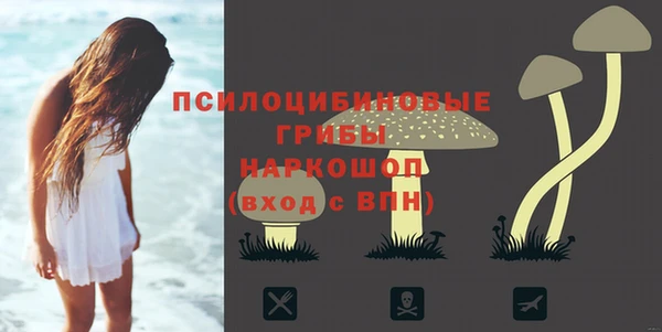 ECSTASY Алексин