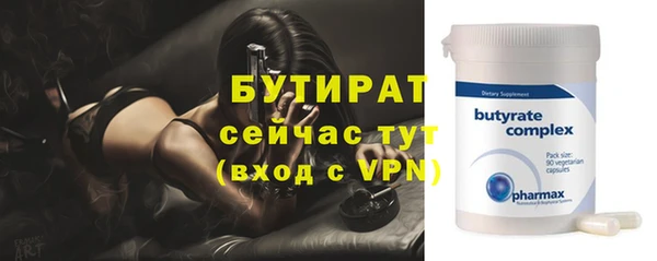 прущие грибы Гвардейск