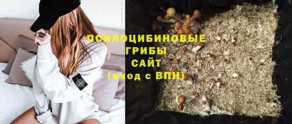 мдпв Сатка