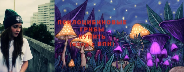 ECSTASY Алексин
