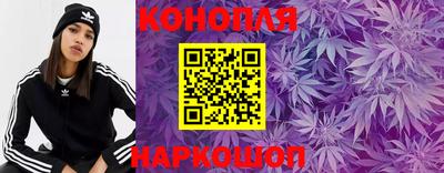 гашик Тулун