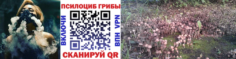 Псилоцибиновые грибы прущие грибы  Краснотурьинск 