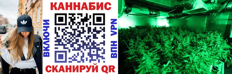 Шишки марихуана семена Краснотурьинск